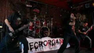 NECRORGASM - Brutally Disfigured