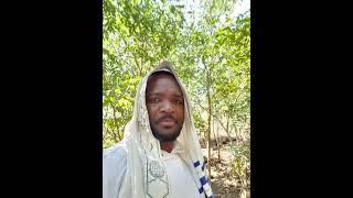 Download lagu APOSTLE KING JAMES PHIRI DZUKANI MUNDIMENYERE NKHONDO mp3 Download lagu APOSTLE KING JAMES PHIRI DZUKANI MUNDIMENYERE NKHONDO mp3