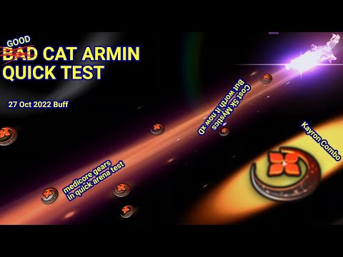 Bad Cat Armin Quick Really Quick Test - She is Now Good Cat Armin xD