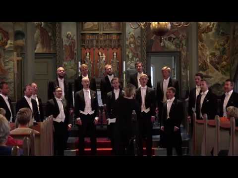 Nordmannen - Mellom bakkar og berg (Lindeman) - DnS på Orgelsommar i Sande