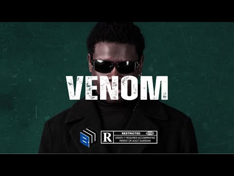 Shallipopi x Asake x Amapiano type beat 2025 "Venom" | Amapiano instrumental