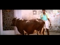 Kovil Tamil Movie Cow Takes Revenge On Vadivelu