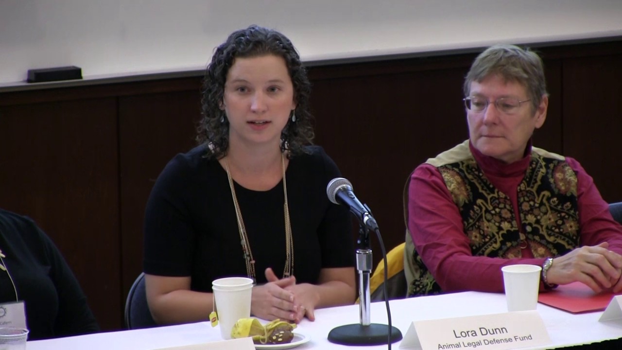 Animal Law Conference 2016 - 06 -  Careers in Animal Law 10-09-16