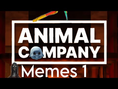 20 minutes of animal company memes