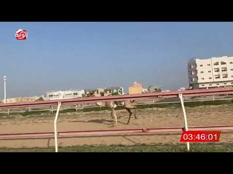 ش 12 (العاصمه) لـ عبدالله محمد بن خلفان ثاني الهاملي 9:25:10 ، شارة الديوان 2026/2/7 ثنايا التلة