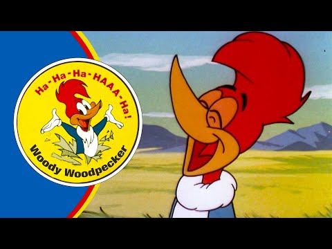 Woody Scares Off Tourists!  | Woody Woodpecker
