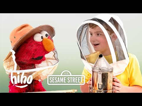 Elmo and Kids Meet a Beekeeper | HiHo Kids