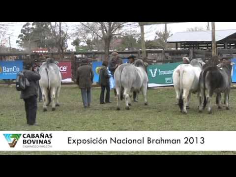 Cabañasbovinas.com - Flia Franchino