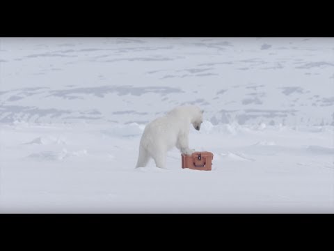 Кейс Nanuk case 920 w/foam - Olive