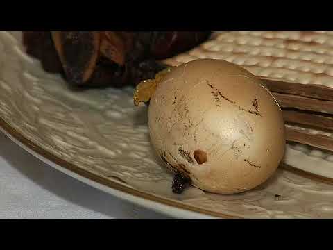 Passover Seder (2008-04-16)