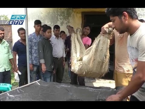 বখাটেদের অত্যাচারের পর বাড়িতে ফিরে আত্মহত্যা