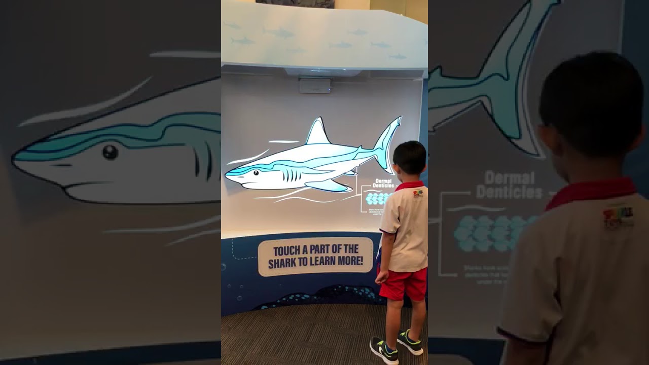 RWS Interactive Wall