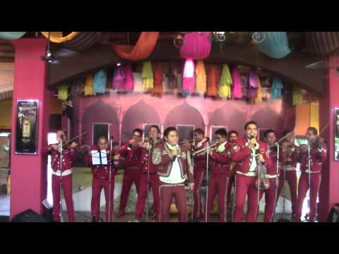 download lagu mp3 mp4 Mariachis De Nuevo México, download lagu Mariachis De Nuevo México gratis, unduh video klip Mariachis De Nuevo México