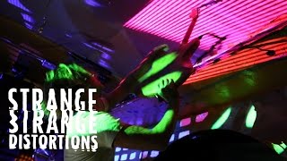 TOMORROW TULIPS - Check me out | Favorite Episode // Live at the Shacklewell Arms // 17th June 2016