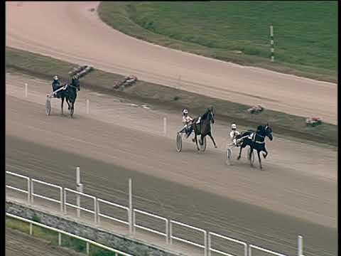 Trotto 14/12/2018 - prova di qualifica