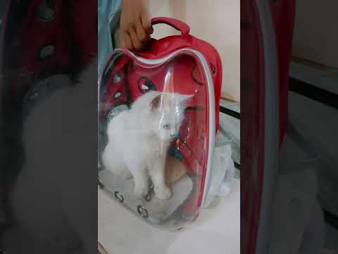 #musicgenre #remix  #hitarth #love