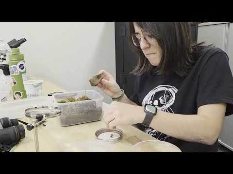 Test Interview: Pods In Space  Project Overview