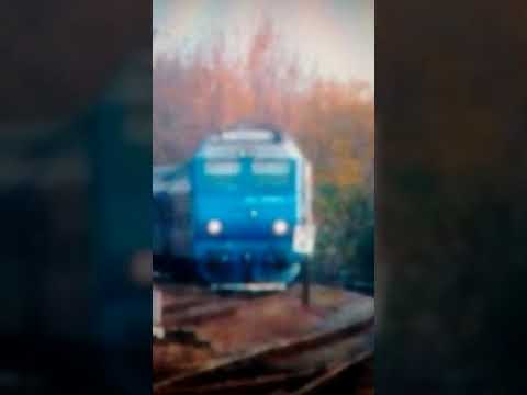 Jimmy 65-0989-7 cu trenul personal 3645 Bratca -Oradea.  26.11.2011