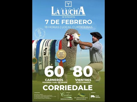 07/02/2024   Cabaña La Lucha (Ovinos) - Barraca Cardozo Negocios Rurales- Local Curticeiras - Rivera