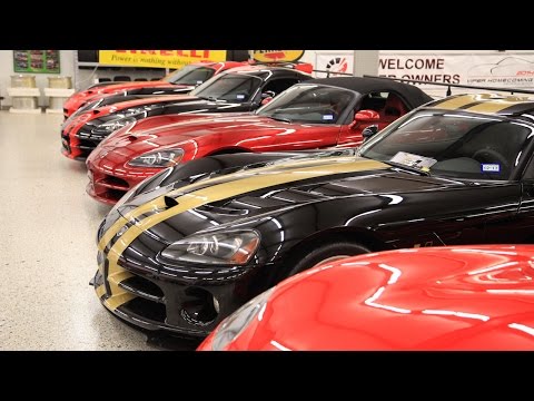 世界上最大的道奇蝰蛇收藏品。 (World's Largest Dodge Viper Collection)