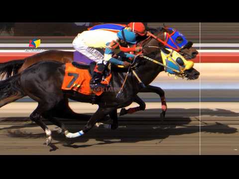 5ª. carrera | 1ª. válida | BROTHER WILL | Hipódromo La Rinconada | Reunión 08 | 2026