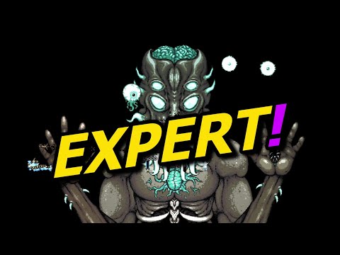 How to beat EXPERT Moon Lord - Terraria 1.4.3.6