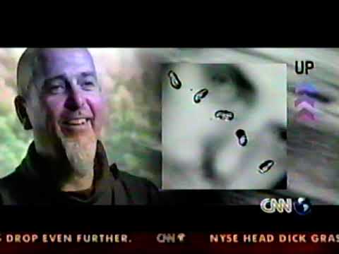 Peter Gabriel & Sean Penn about The Barry Williams Show video (october 2002)