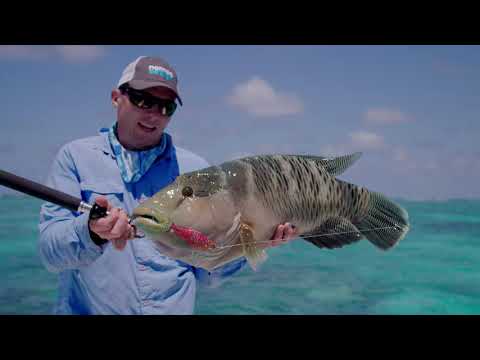 20 Years of R&D - Nomad Design Rods in Depth