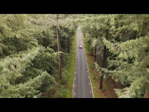 GOLF 1 | 1981  |  EVA POUW