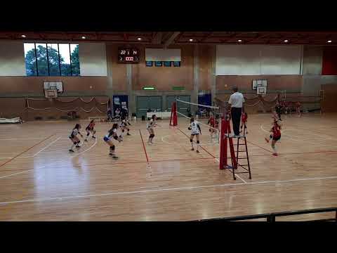 coppa d : celadina- lurano