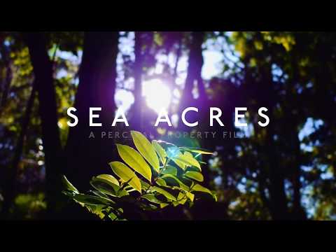 Sea Acres Rainforest boardwalk