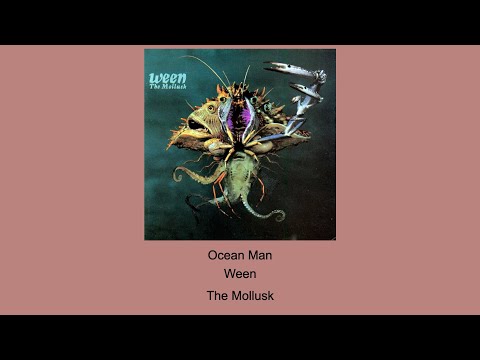 Ocean Man - Ween - Instrumental