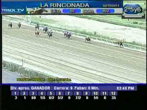 Resumen Domingo, 02 de Octubre de 2011 - La Rinconada