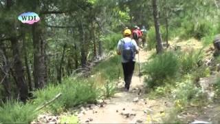 preview picture of video 'Pillole di Montagna: Sila, da Monte Altare a Longobucco'