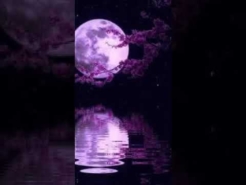 (Left me) block boy oz feat.young milly traphouse