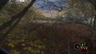 [hunter] noob4人が森を走る！