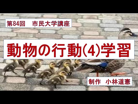 地域科学課程 動物の行動（４）学習