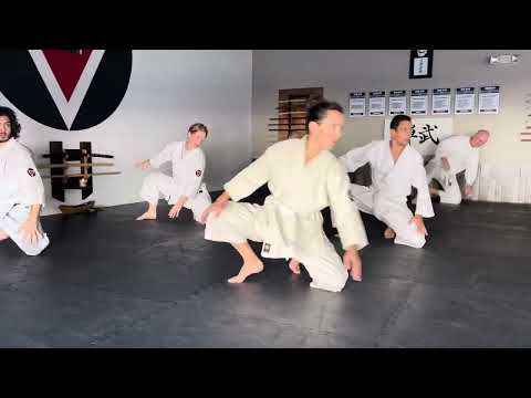 Aikido Basic Mae Ukemi 3 Points for Beginners