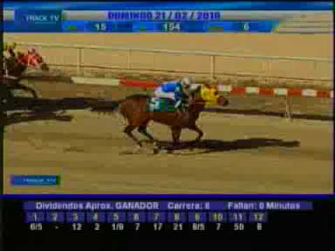 DON POTRO DOMINGO 21 DE FEBRERO 2010