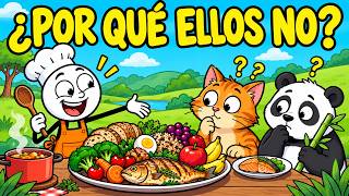 Por qué los humanos pueden comer tanta variedad: biología, cocina y conocimiento compartido