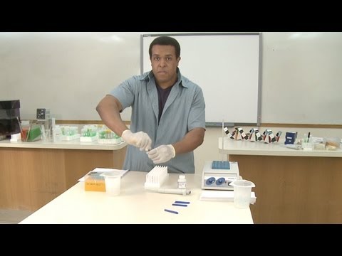 DNA Isolation Step 2: Extracting the DNA