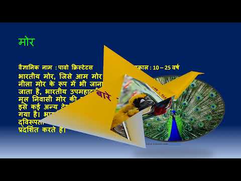 Bird Breeds of the world in Hindi by Akshith