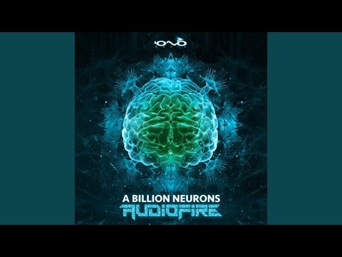 A Billion Neurons