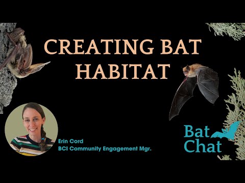 Creating Bat Habitat