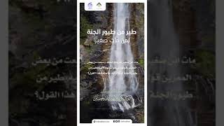 صورة قول: طير من طيور الجنة لمن مات صغيرًا