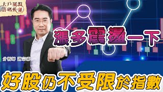 漲多震盪一下 好股仍不受限於指數 (圖)