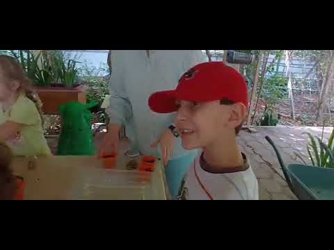 Visit the Al-Shamiya Nature Reserve  Youth Center Kuwait