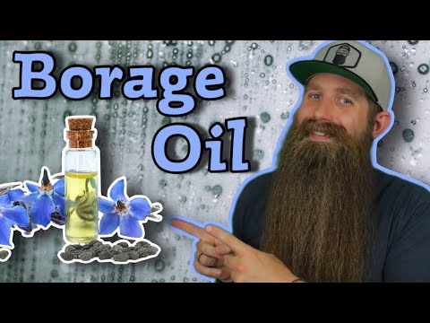 Borage Oil [History & Benefits] Carrier Oils 101