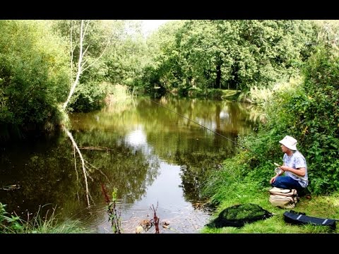 MOPLEY POND, LANGLEY, NR SOUTHAMPTON, HAMPSHIRE