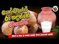 පොල් වතුරෙන් රා හදන්නේ මෙහෙමයි Here Is How To Ma